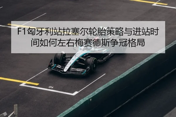 xiong-ya-li-zhan-la-sai-er-lun-tai-ce-lve-yu-jin-zhan-shi-jian-ru-he-zuo-you-mei-sai-de-si-zheng-guan-ge-ju-3-803.jpg